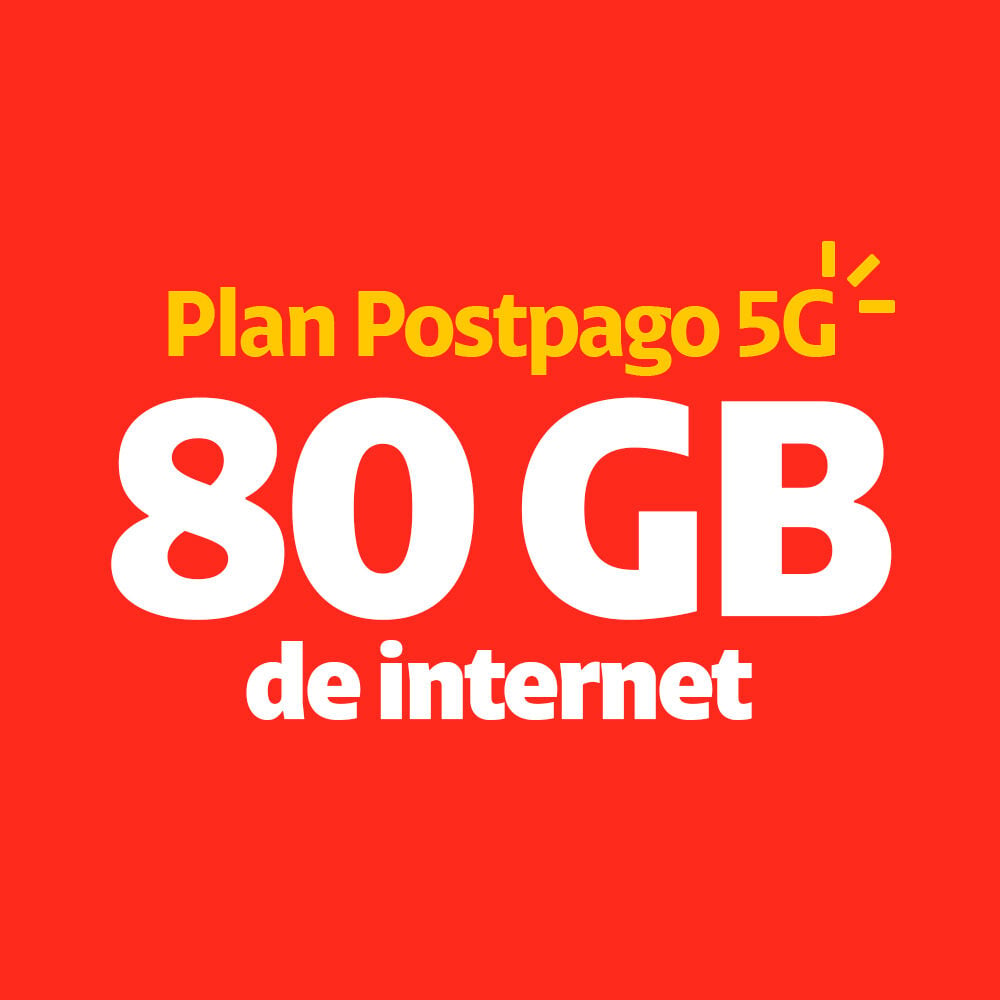 Todo Incluido 80GB
